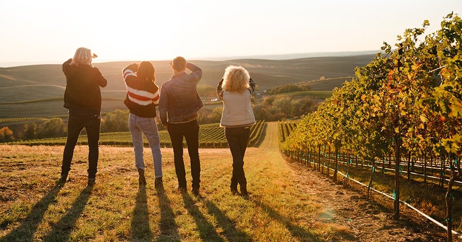 Little Big Town in the vineyard at sunset