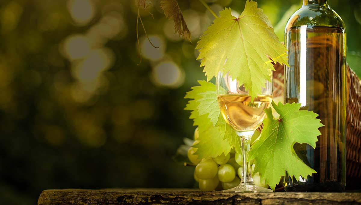 Riesling Wine Total Wine & More