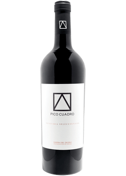Pico Cuadro Vendimia Seleccionada RDD, 2017