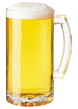 True Beer Stein