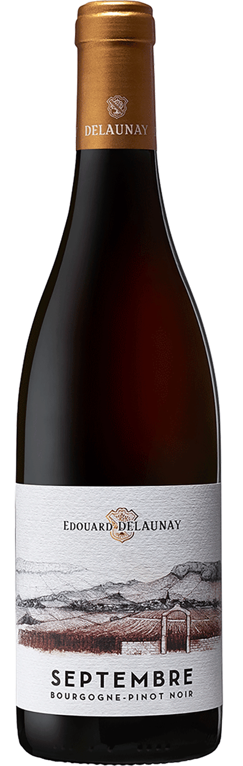 Edouard Delaunay Bourgogne Septembre Rouge Pinot Noir | Total Wine