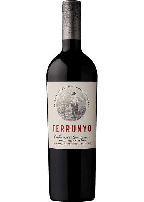 Gaja Cabernet Darmagi | Total Wine & More