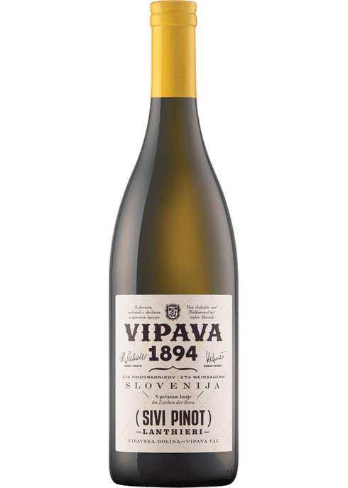 | & Sivi Pinot Vipava Total More Wine