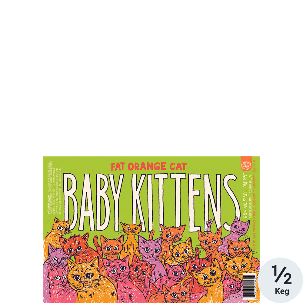 Fat Orange Cat Baby Kittens