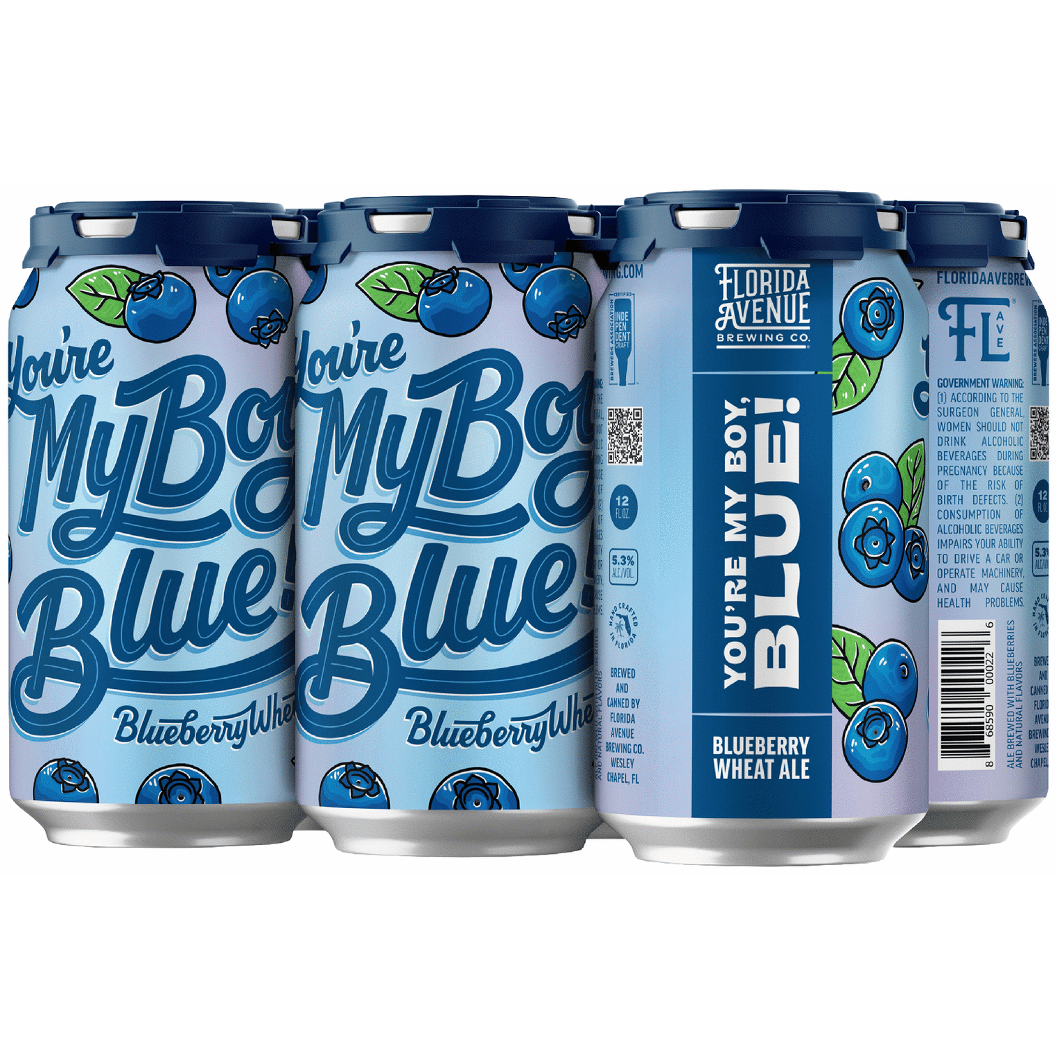 Florida Avenue You're My Boy Blue! Blueberry Wheat Ale