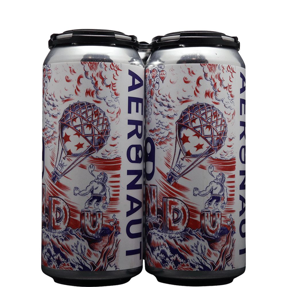 Aeronaut A Year With Dr. Nandu