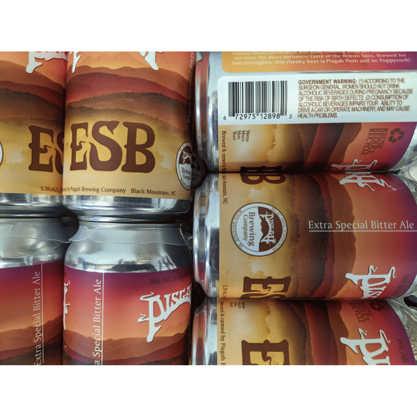Pisgah ESB