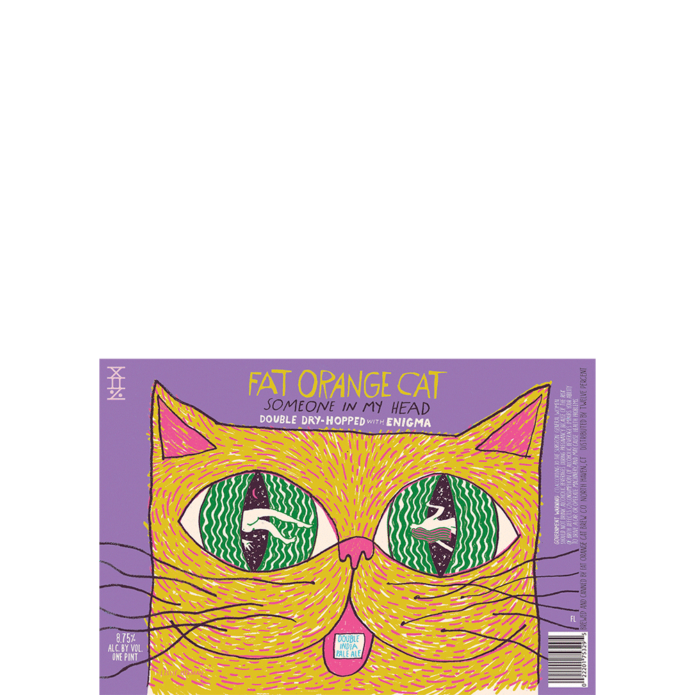 Fat Orange Cat Someone In My Head Enigma