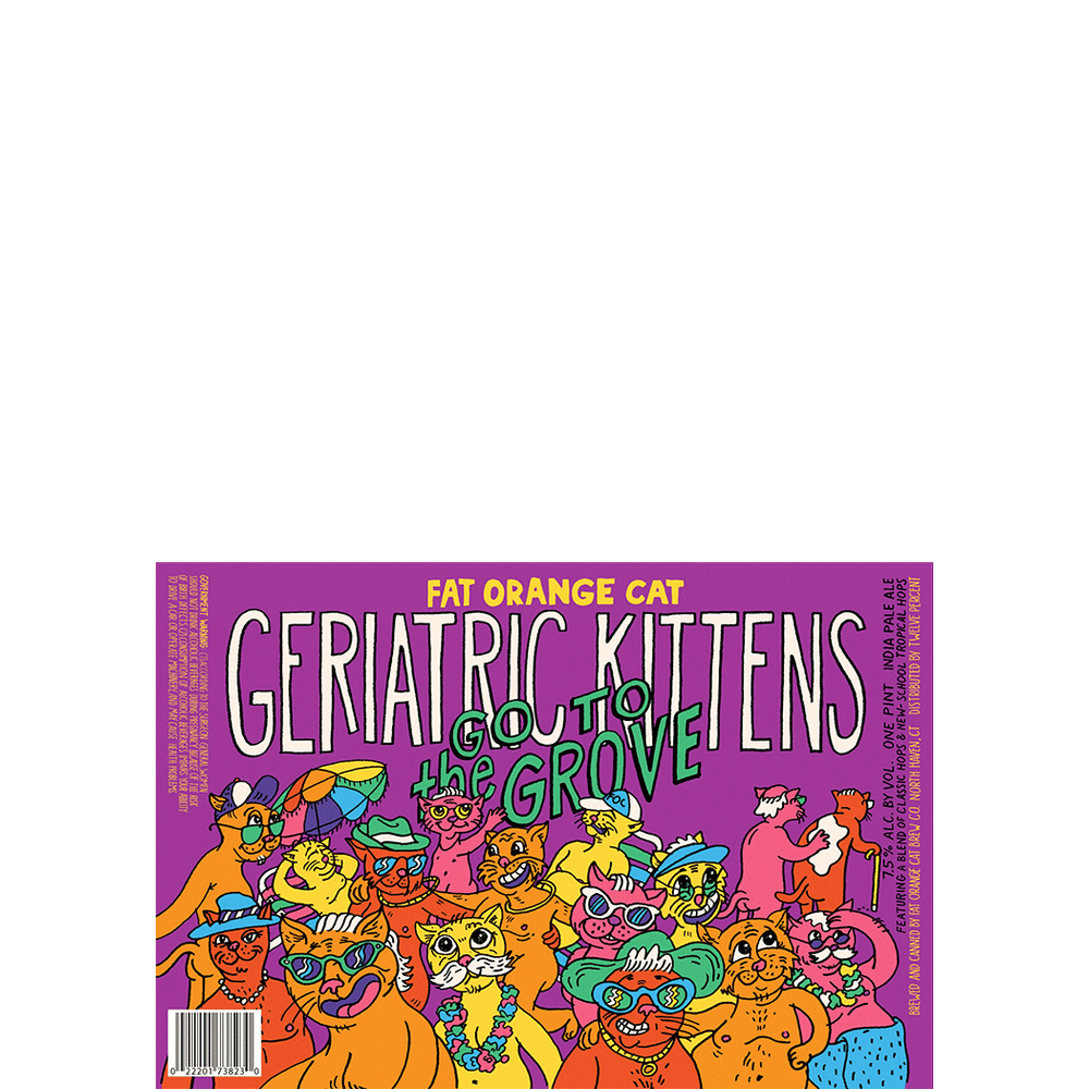 Fat Orange Cat Geriatric Kittens Go To The Grove