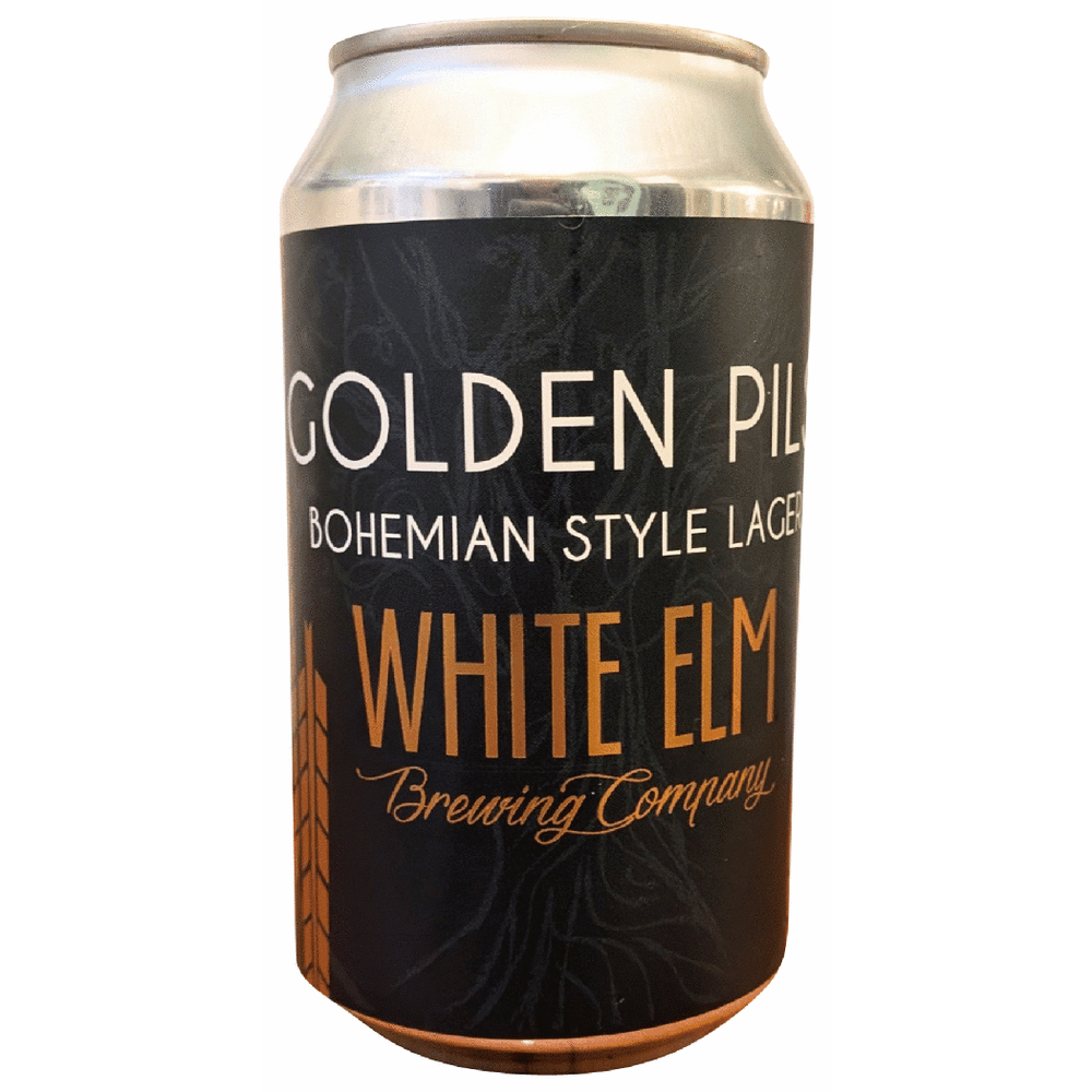 White Elm Golden Pils