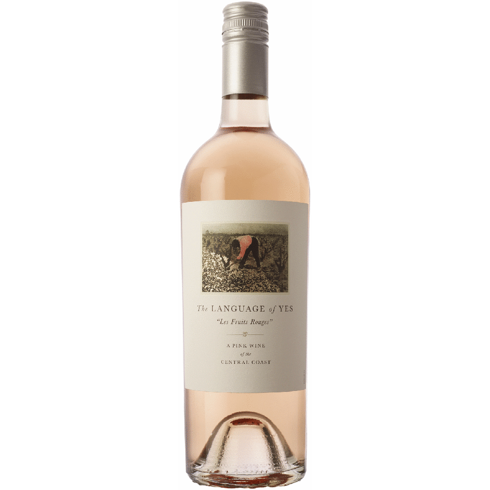 The Language of Yes 'Les Fruits Rouges' Certified Sustainable Rose