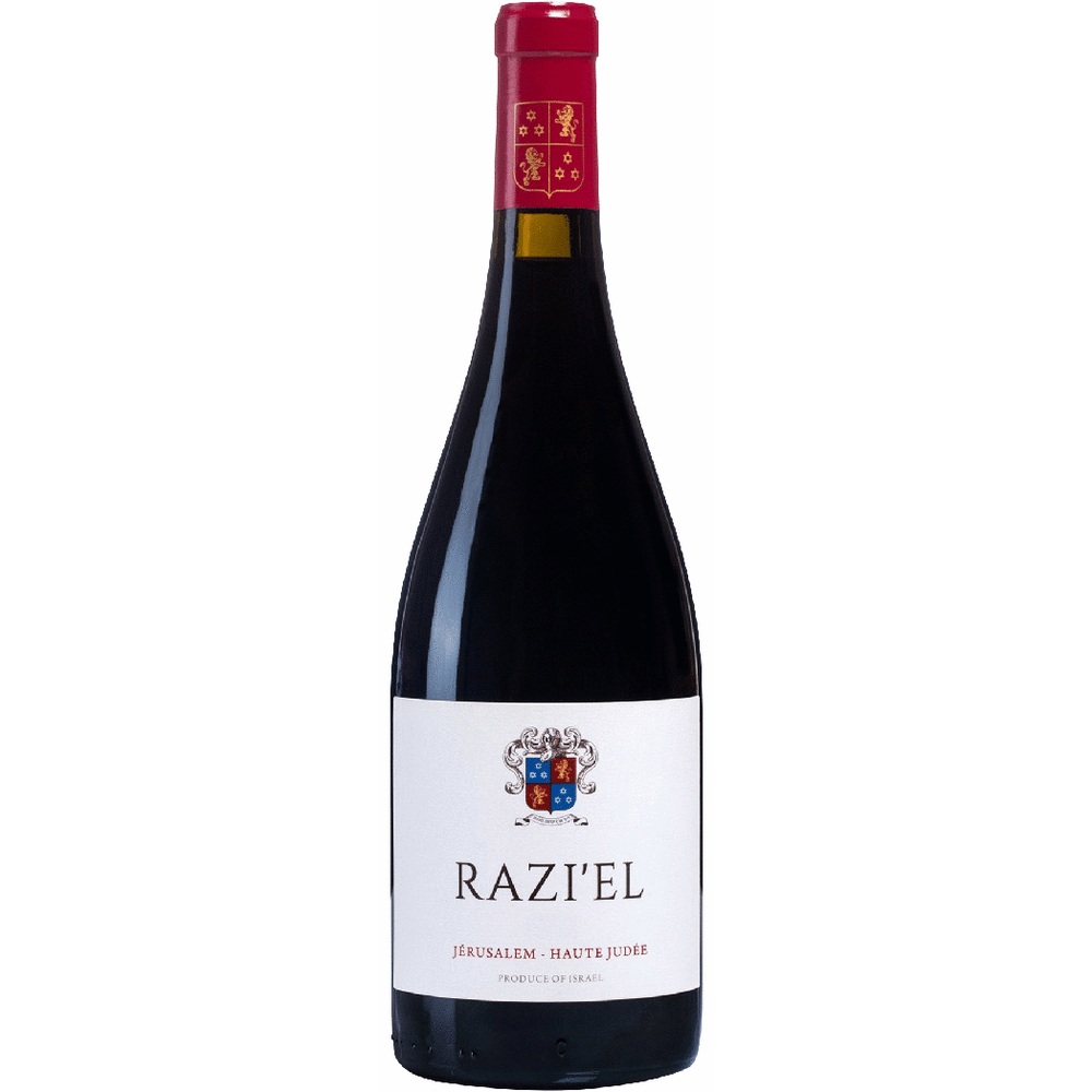 Raziel by Castel