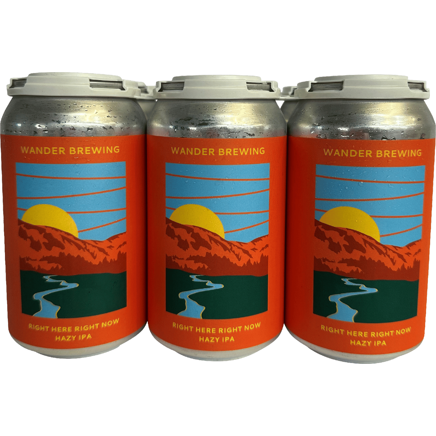 Wander Right Here Right Now Hazy IPA
