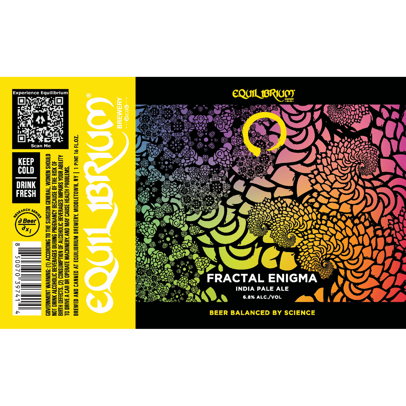 Equilibrium Fractal Enigma