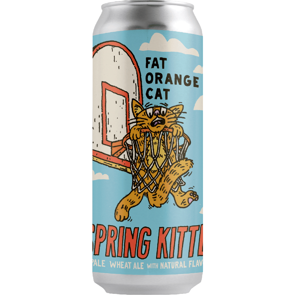 DNU Fat Orange Cat No Spring Kitten