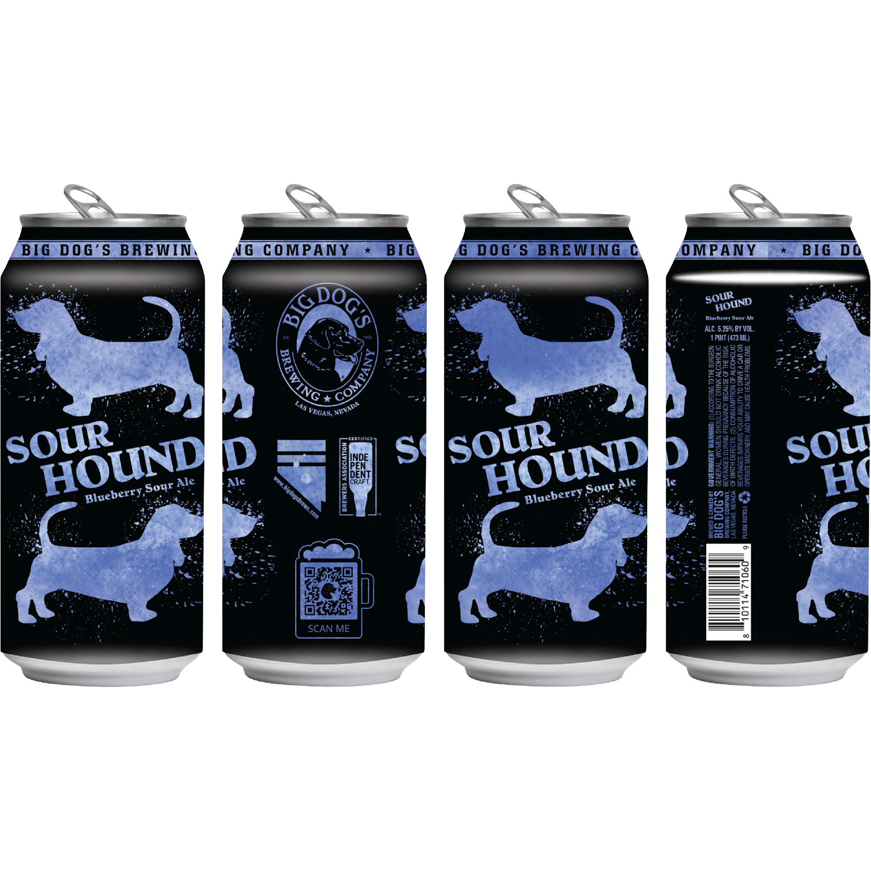 Big Dog's Blueberry Sour Hound