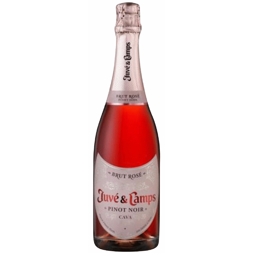 Juve & Camps Rose Pinot Noir