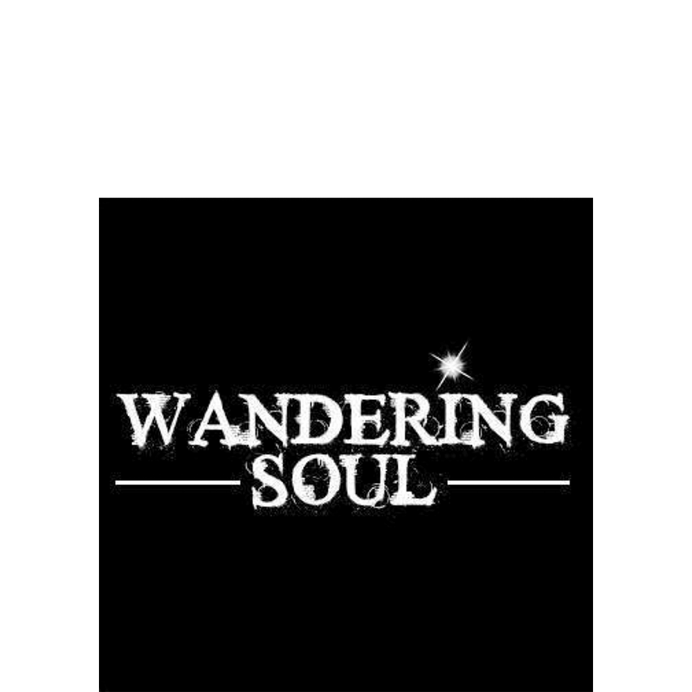 Wandering Soul Things We Don't Say
