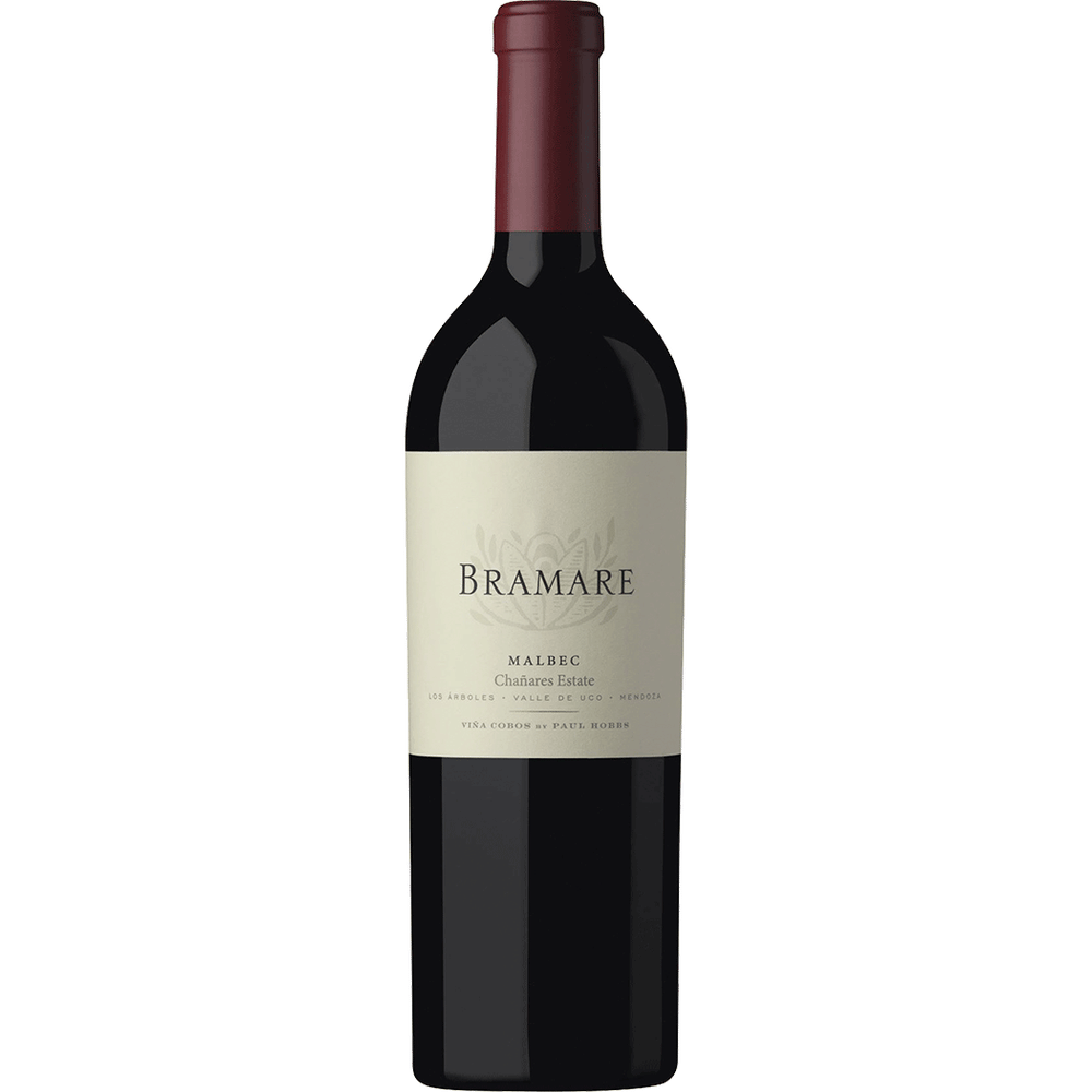 Vina Cobos Bramare Malbec 'Chanares Vineyard"