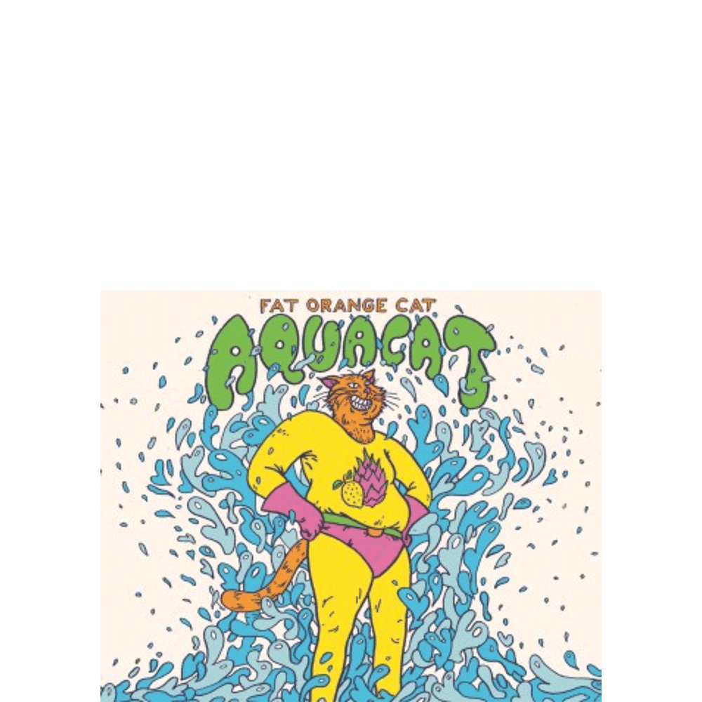 Fat Orange Cat Aquacat Dragonfruit Lemon Hard Seltzer