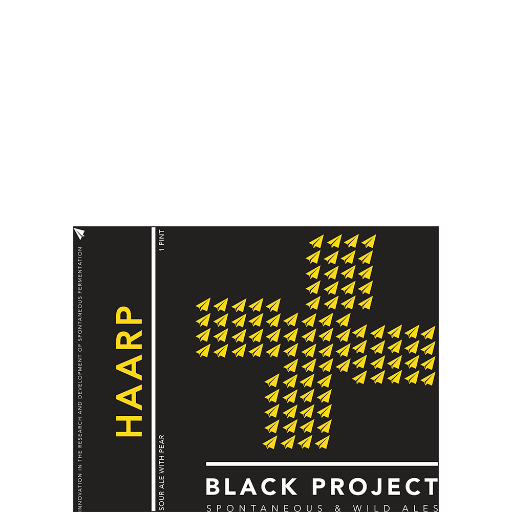 Black Project Haarp