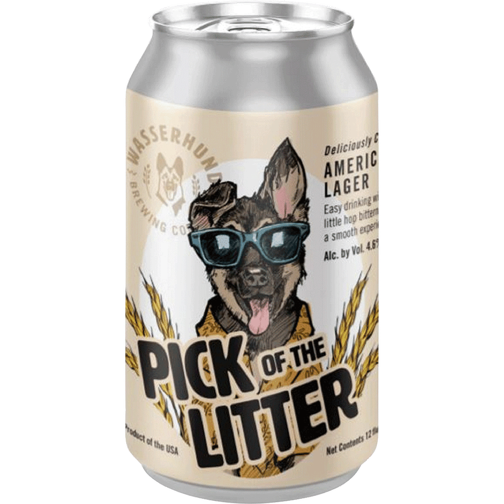 Wasserhund Pick of the Litter
