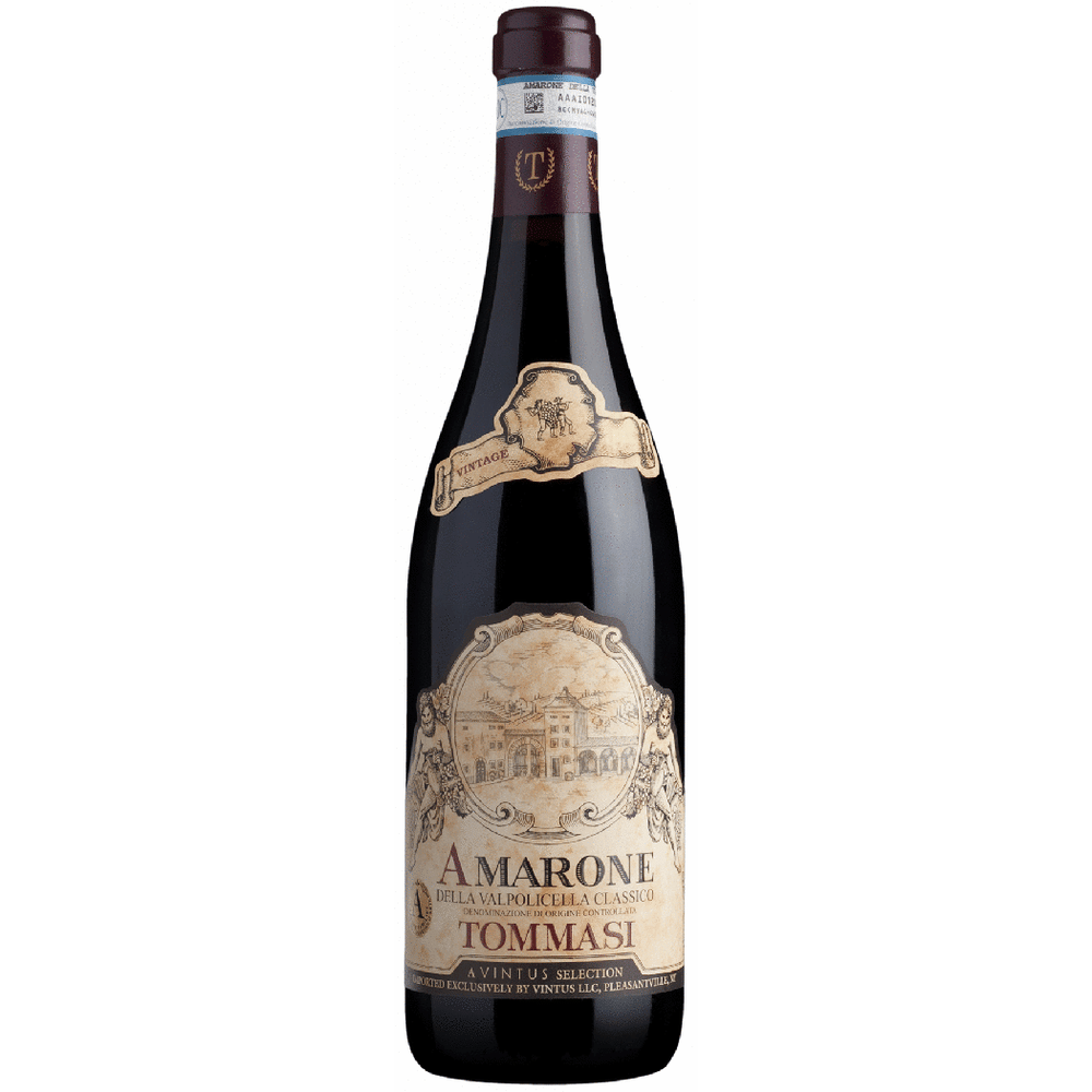 Tommasi Amarone della Valpolicella Classico | Total Wine & More