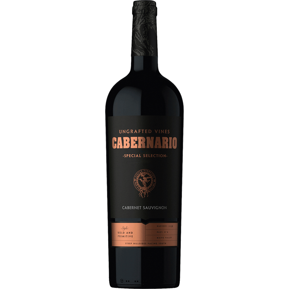 Cabernario Cabernet Sauvignon Special Selection, 2019 750ml