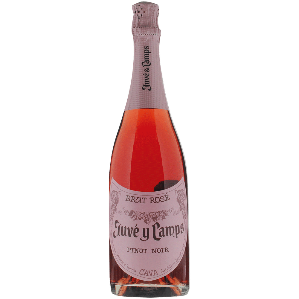 Juve & Camps Brut Rose Pinot Noir | Total Wine & More