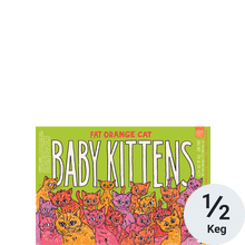 Fat Orange Cat Baby Kittens