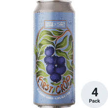Castle Island First Crop Blueberry Lager