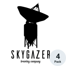 Skygazer Pumpkin Pie Sour