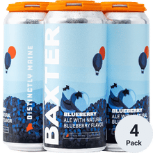 Baxter Blueberry Ale