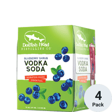 Dogfish Head Blueberry Vodka Soda
