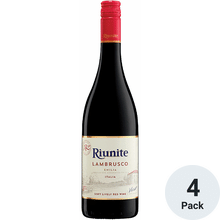 Riunite Fruit Wine | Total Wine & More