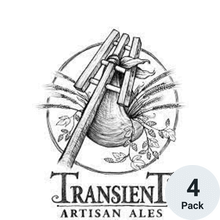 Transient Indestroyable