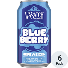 Blueberry Beer | Total Wine & More