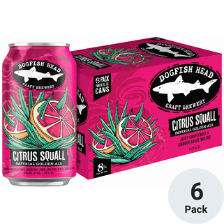 Dogfish Head Citrus Squall Double Golden Ale Beer