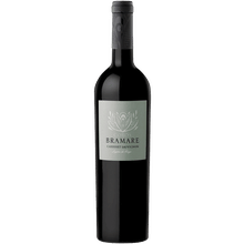 Vina Cobos Bramare Cabernet