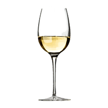 Luigi Bormioli Crescendo Chardonnay White Wine Glass 4 pack