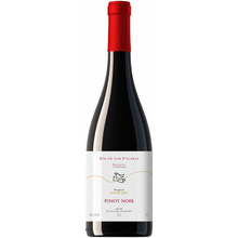 Pisano Pinot Noir Rio de Los Pajaros