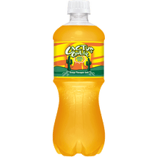 Cactus Cooler Orange Pineapple