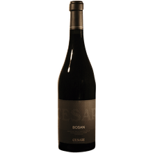 Cesari Bosan Amarone