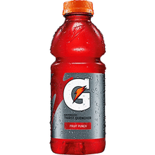 Gatorade Fruit Punch