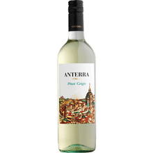 Anterra Pinot Grigio