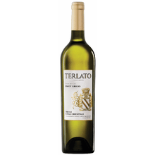 Terlato Friuli Colli Orientali Pinot Grigio