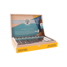 AVO Ritmo Robusto