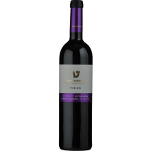 Teperberg Vision Cabernet