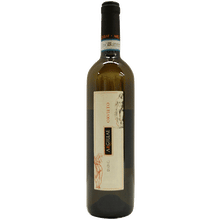 Argillae Orvieto