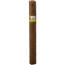 Tatiana Caribbean Chill Classic